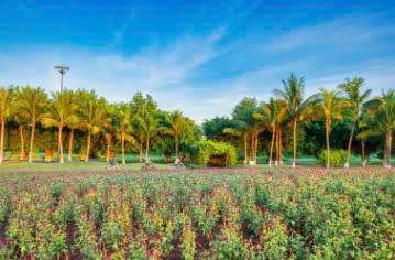 Thiên Nhiên Tại Ecopark Long An
