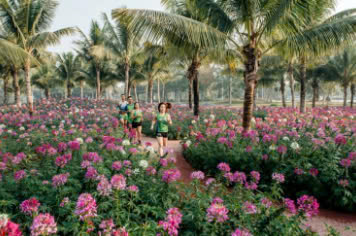 Thiên Nhiên Tại Ecopark Long An