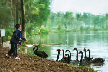 Thiên Nhiên Tại Ecopark Long An